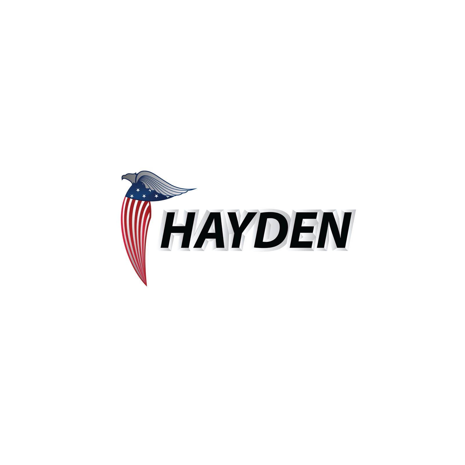Hayden Racing flag logo
