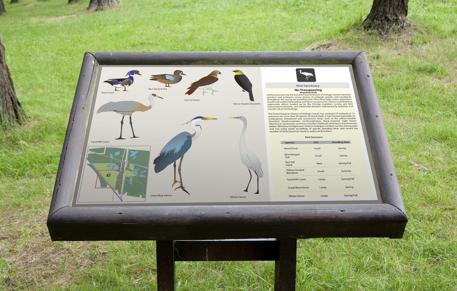 Interpretive trail sign about local birds