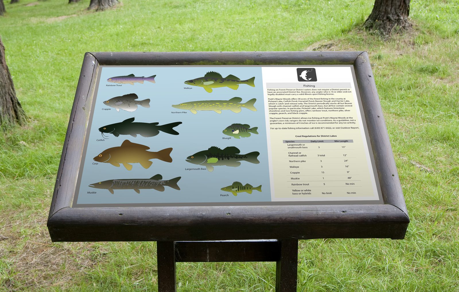 Interpretive trail sign about fish species